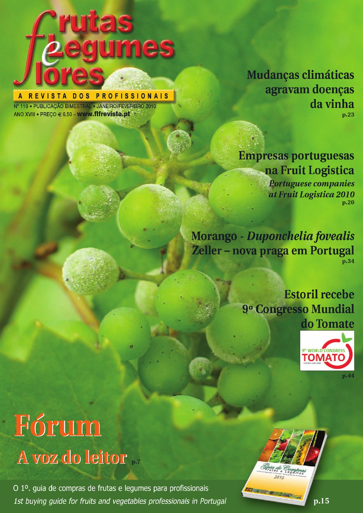 página